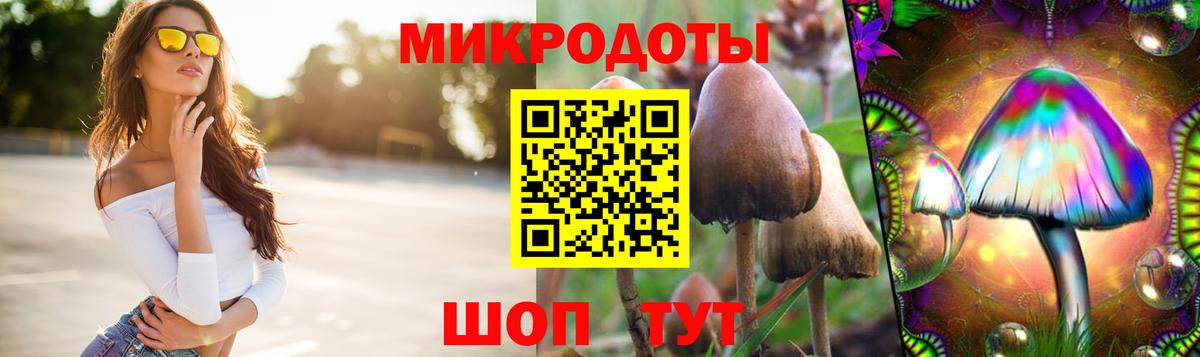 Псилоцибиновые грибы Psilocybe Кыштым